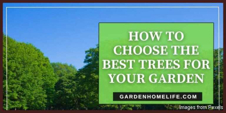 HOW-TO-CHOOSE-THE-BEST-TREES-FOR-YOUR-GARDEN-