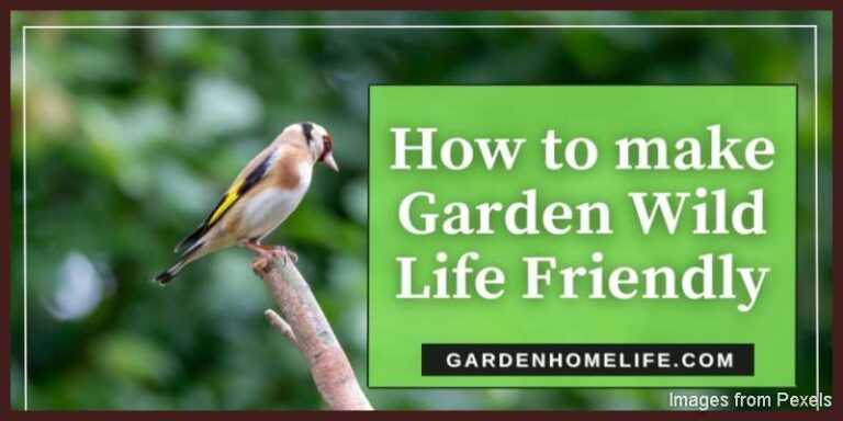 How-to-make-Garden-Wild-Life-Friendly-