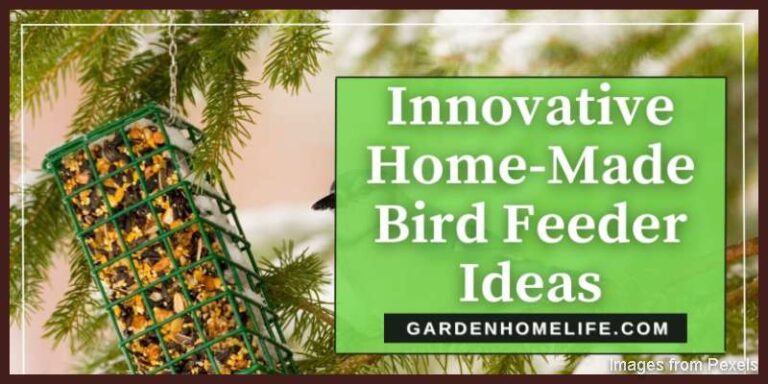 Innovative-Home-Made-Bird-Feeder-Ideas-