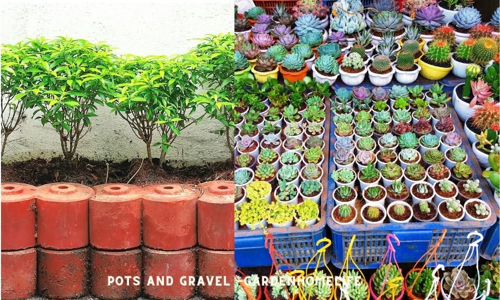 ideas with Pots and Gravel 1
