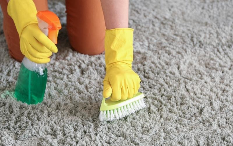Household Ingredients carpet cleaning