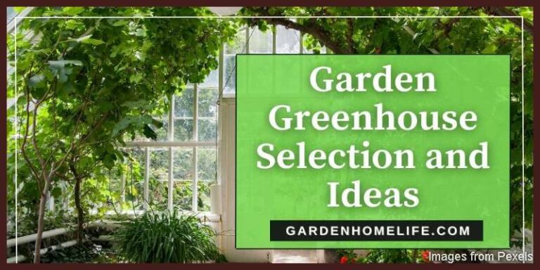 Garden-Greenhouse-Selection-and-Ideas