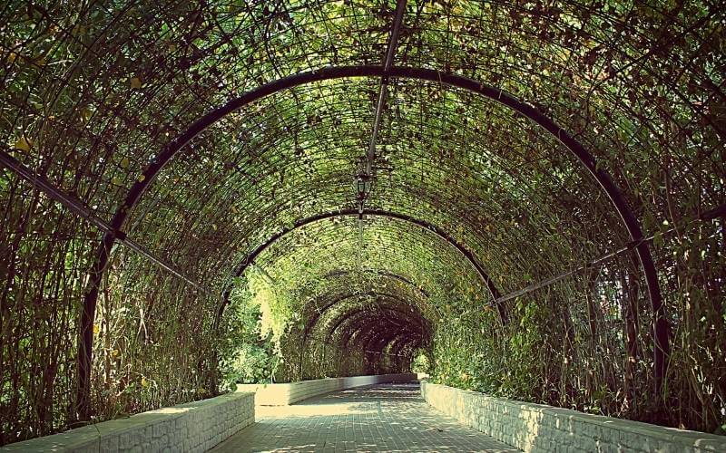 Haxnicks Garden Tunnel New