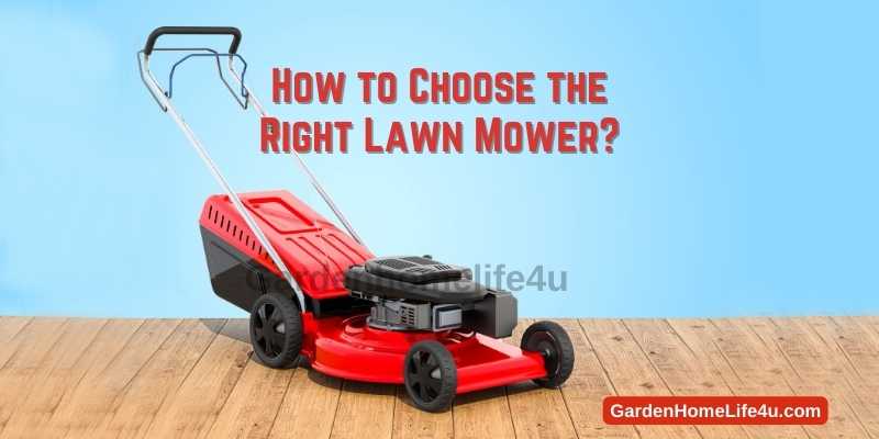 How to Choose the Right Lawn Mower 1