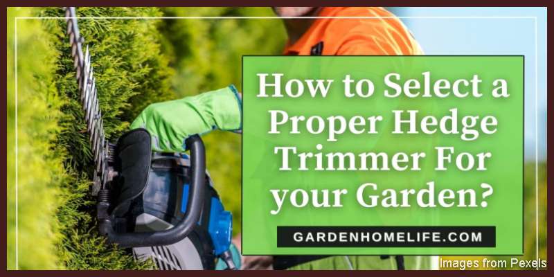 How-to-Select-a-Proper-Hedge-Trimmer-For-your-Garden