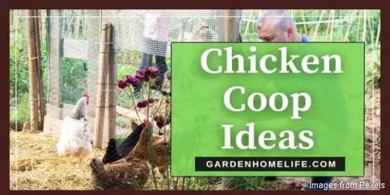 Chicken-Coop-Ideas