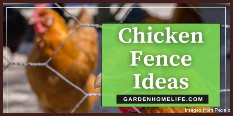 Chicken-Fence-Ideas