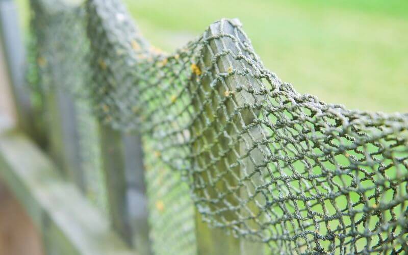 Fish Net Fence