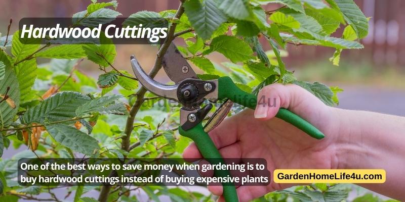 How to Save on Day to Day Garden Maintenance 8