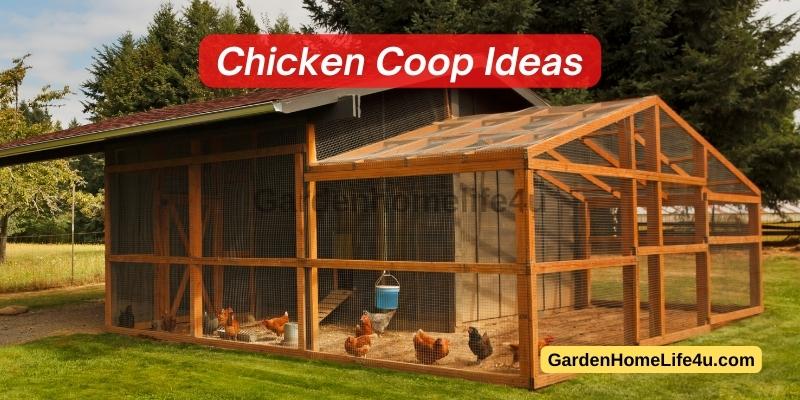 Chicken Fence Design Tips for Your Next Chicken Coop Project 1