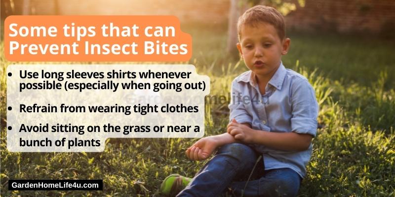 How To Treat Insect Bites Naturally 3