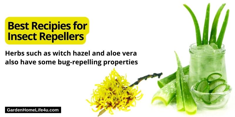How To Treat Insect Bites Naturally 8