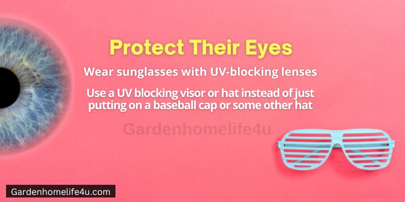 10 ways to protect your child from scorching sunlight – GardenHomeLife4u 7