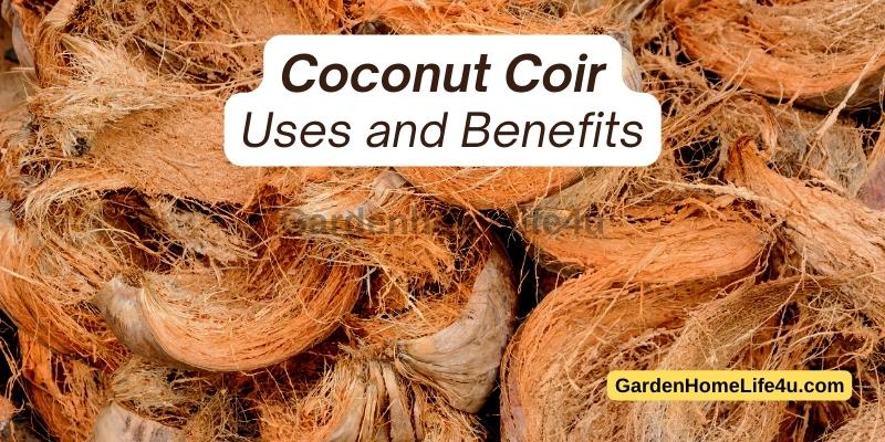 Coconut Coir uses for Humans, Plants and Animals 1