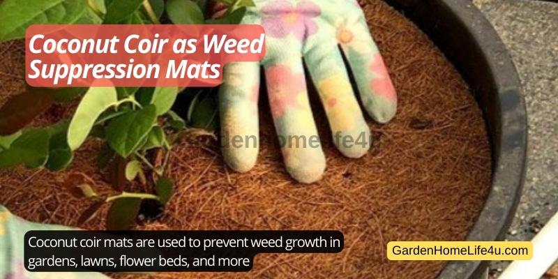 Coconut Coir uses for Humans, Plants and Animals 12