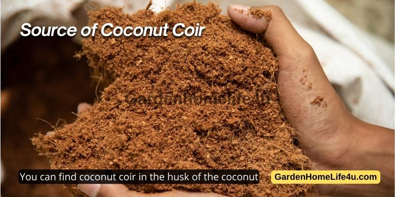 Coconut Coir uses for Humans, Plants and Animals 2