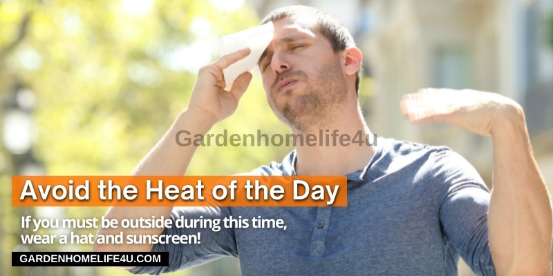 How to stay safe in Extreme Summer heat (6)