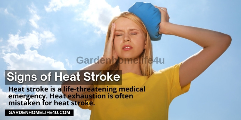 How to stay safe in Extreme Summer heat (8)