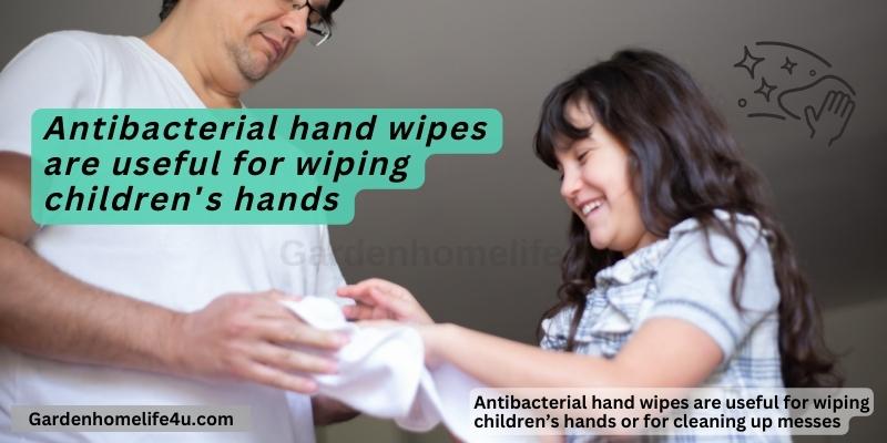 Tips On Meeting Basic Hygiene Standards and Home made Antibacterial 12