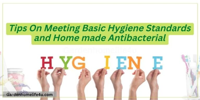Tips On Meeting Basic Hygiene Standards and Home made Antibacterial