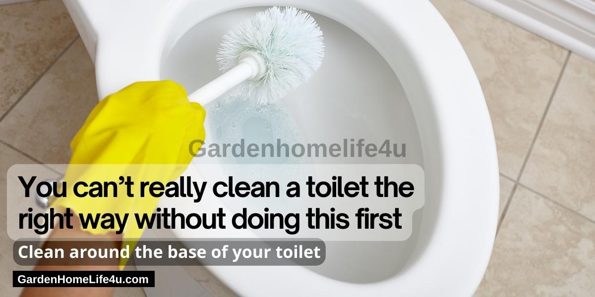 How to Clean a Toilet 2