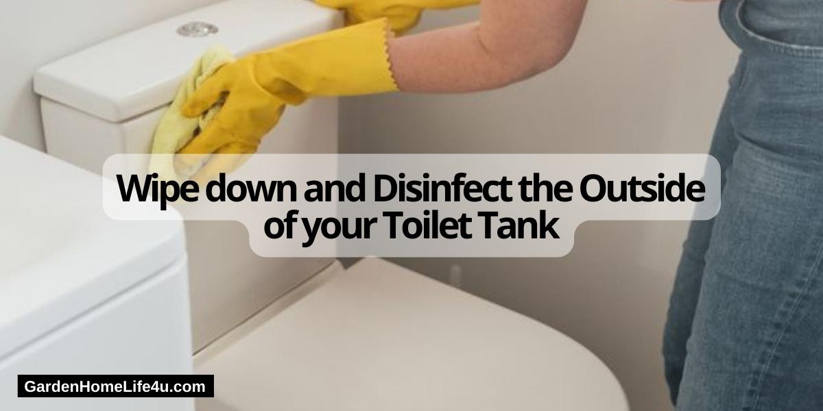 How to Clean a Toilet 8