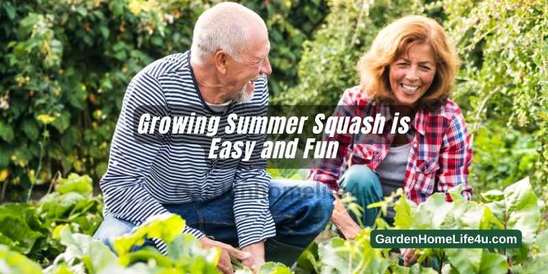 How to Grow Summer Squash in the Backyard 5