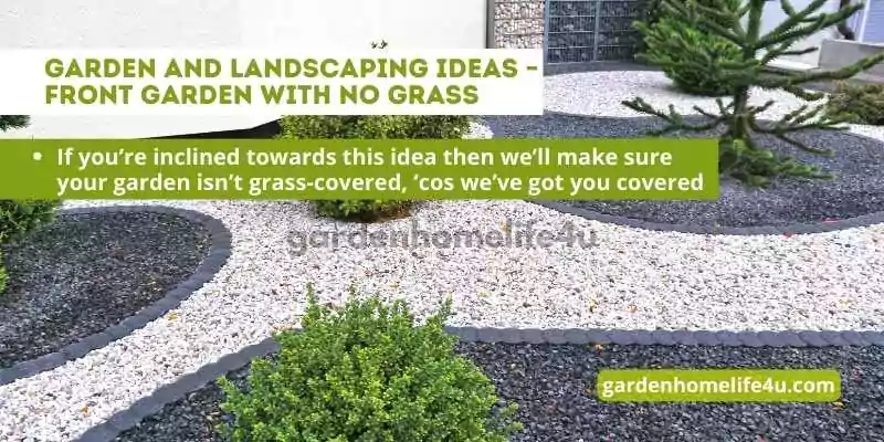 Garden of Dreams-Innovative Landscaping Tips and Ideas_4