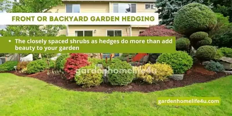 Garden of Dreams-Innovative Landscaping Tips and Ideas_5