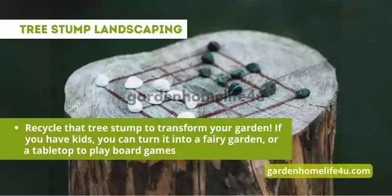 Garden of Dreams-Innovative Landscaping Tips and Ideas_8
