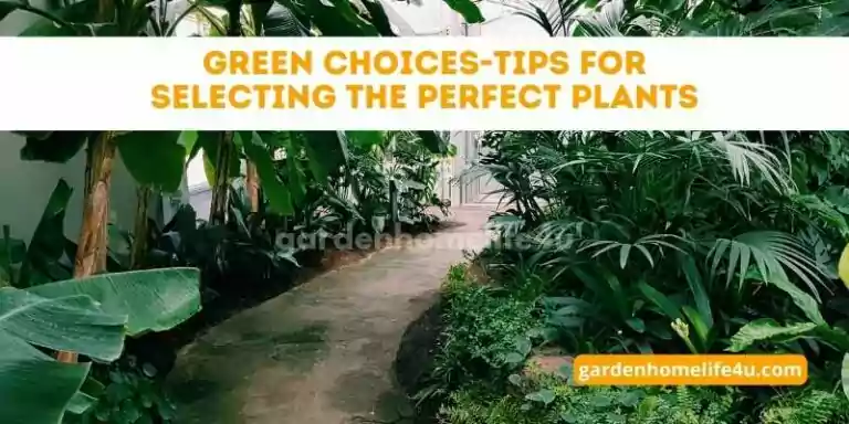 Green Choices-Tips for Selecting the Perfect Plants_1