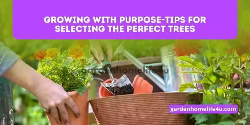 Growing with Purpose-Tips for Selecting the Perfect Trees_1