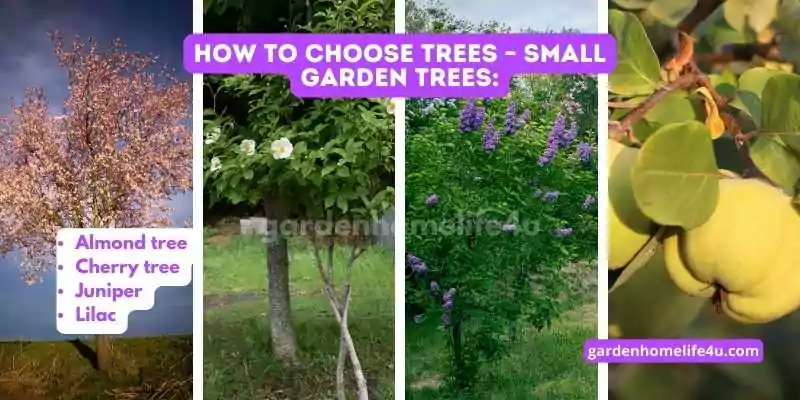 Growing with Purpose-Tips for Selecting the Perfect Trees_2