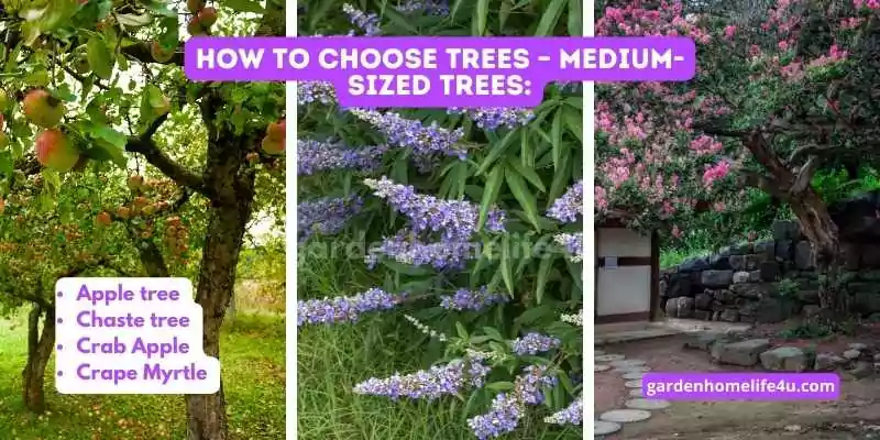 Growing with Purpose-Tips for Selecting the Perfect Trees_4