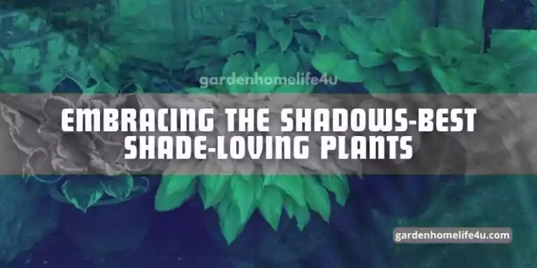 Embracing the Shadows-Best Shade-Loving Plants-1