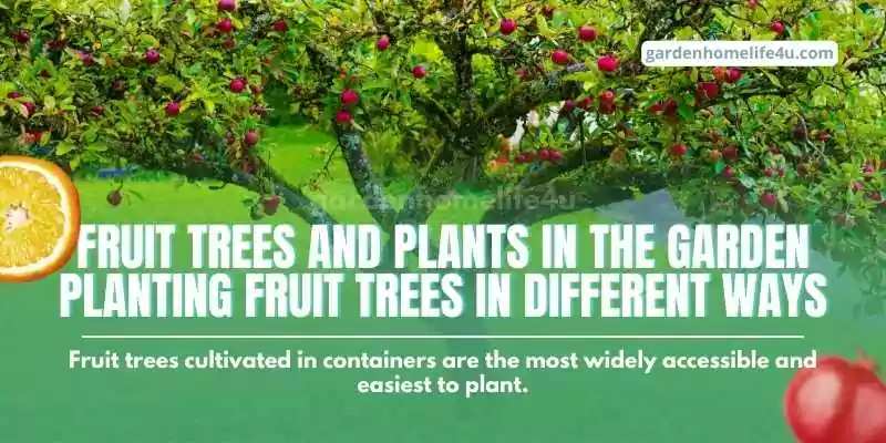 Fruitful Rewards-Tips for Growing Fruit Plants and Trees-2