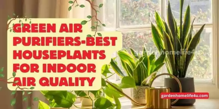 Green Air Purifiers-Best Houseplants for Indoor Air Quality-1