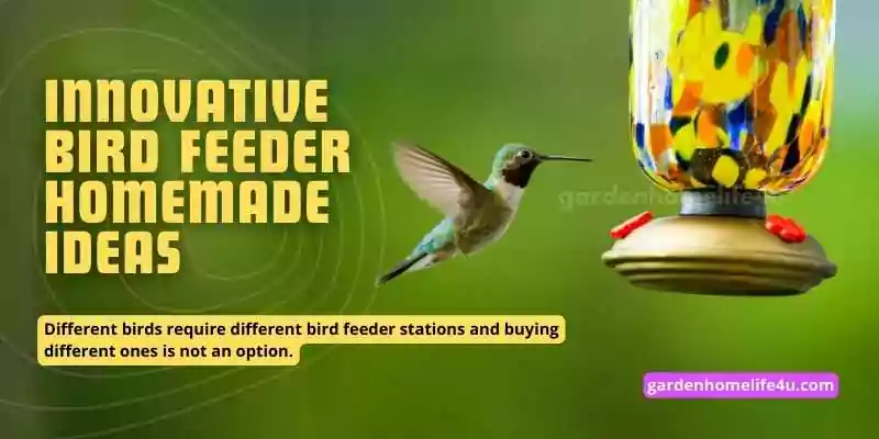 Innovative Home-Made Bird Feeder Ideas for Feathered Friends-2