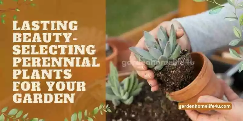 Lasting Beauty-Selecting Perennial Plants for your Garden-1