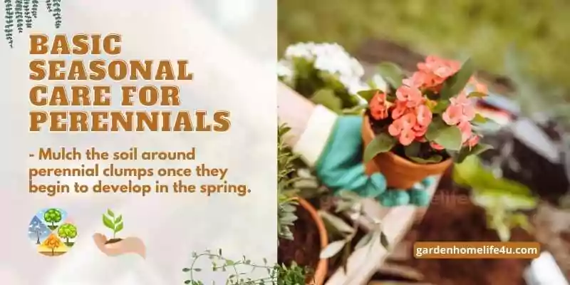 Lasting Beauty-Selecting Perennial Plants for your Garden-4