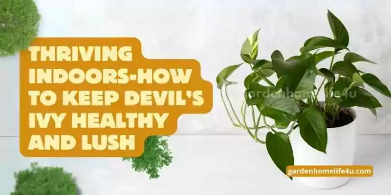 Thriving Indoors-How to Keep Devil’s Ivy Healthy and Lush-1