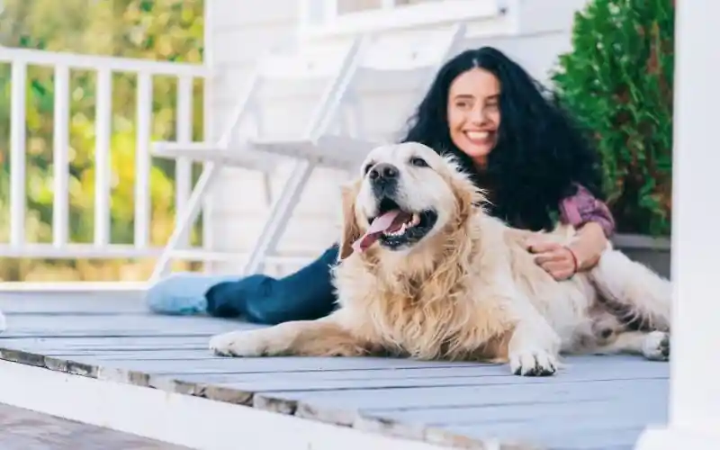 Pet-friendly porch