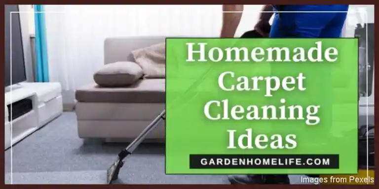 Homemade-Carpet-Cleaning-Ideas-