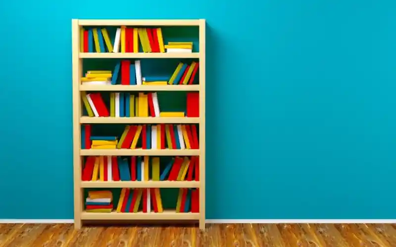 Bookcase Wall