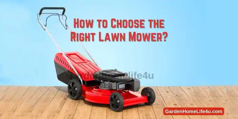 How to Choose the Right Lawn Mower 1