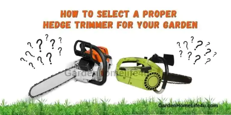 How to Select a Proper Hedge Trimmer For your Garden 1