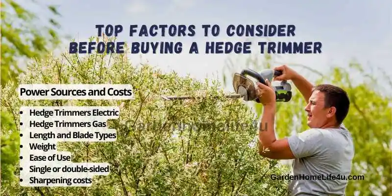 How to Select a Proper Hedge Trimmer For your Garden 2