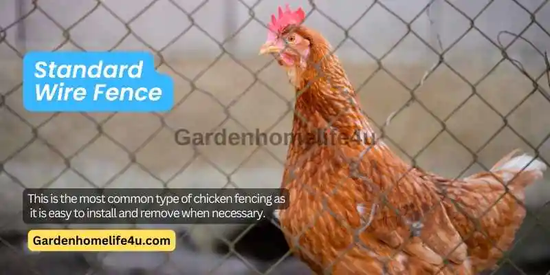 Garden Tips - Chicken Fence Ideas - GardenHomeLife 1