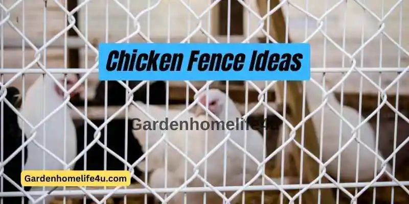 Garden Tips - Chicken Fence Ideas - GardenHomeLife