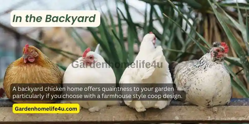 Garden Tips – Chicken Coop Ideas 1